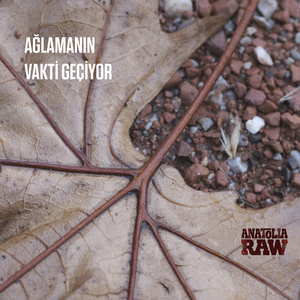 Ağlamanın Vakti Geçti