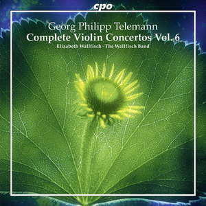 Concerto for 2 Violins, Viola and Violone in A Major, TWV 40:200:III. Vivace