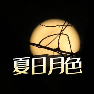 夏日月色正好 古风