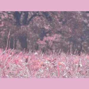 在（prod.by luvflower.\RoyalBoyBrazy）