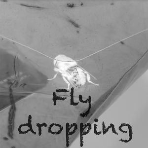 ÆTHER（以太之境）