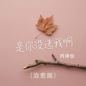 是你没选我啊(治愈版)