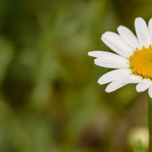 迟来的情话（Zkaaai）