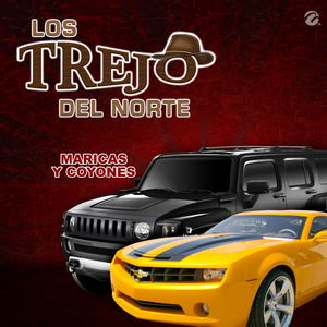 Maricas Y Coyones