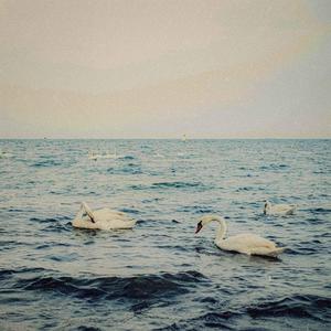 Stardew (feat. robin's ghost) (Remix)