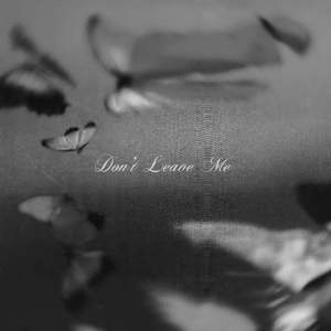 Don't Leave Me