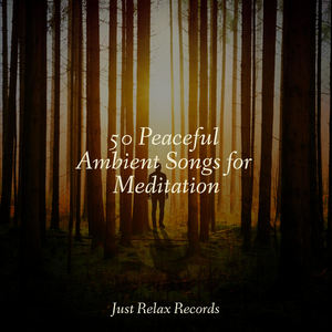 Stellar Whispers in Flux