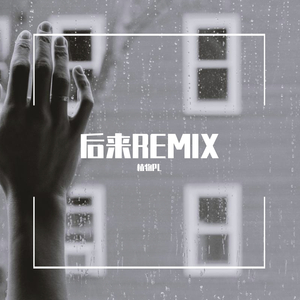 刘若英-后来remix（植物PL remix）