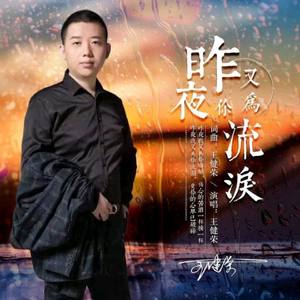 昨夜又为你流泪