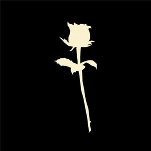 rather be a ghost (feat. guardin)
