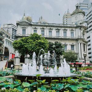 灰色的心情, 原創歌曲, Grey Feeling, Pop Music