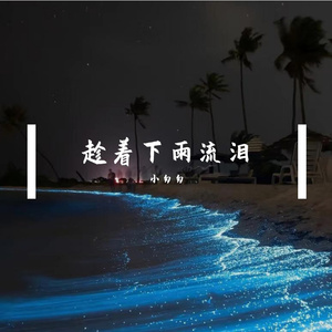 趁着下雨流泪（改自爱只是个传说）