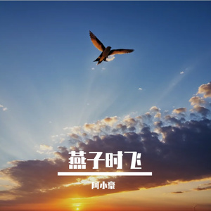 燕子时飞