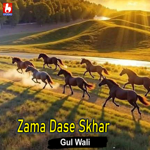 Zama Dase Skhar