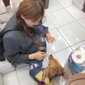 日不落 (抖音热搜版).