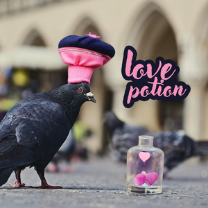 Love Potion