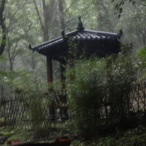 阶段友谊