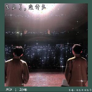 怎么了没什么（翻自 尚九熙何九华）