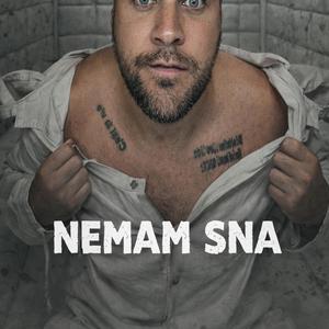 Nemam sna