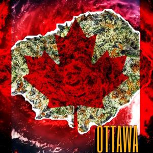 Ottawa
