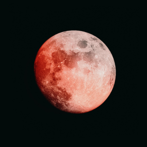 Red Moonlight
