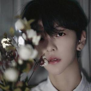 伯虎说温柔男声版