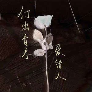 付出青春爱错人