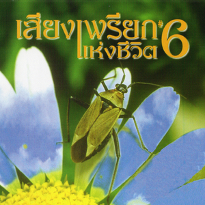 คว้าได้เลย_หนุ่มสกล