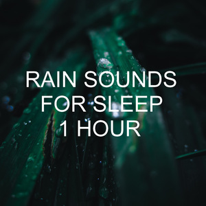 Calm Rain Sounds