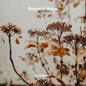 Brownish Noises, Pt. 5