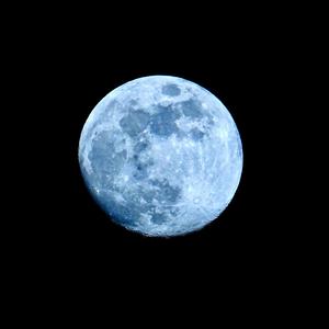 Mr. Moon