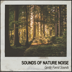 Feels like Rain Again