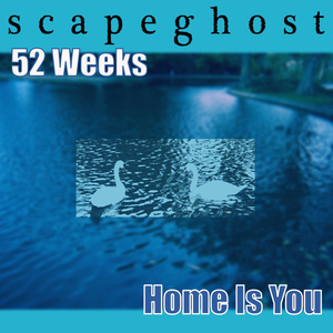 52 Weeks