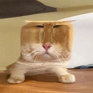 不是在自习写的歌(●__●)（Prod .Gr33nart Beats）