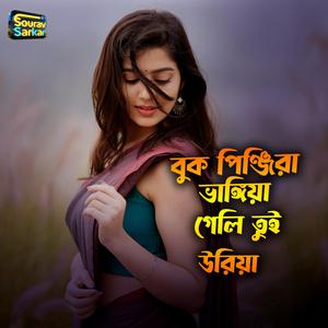 বুক পিন্জিরা ভাঙ্গিয়া গেলি তুই উড়িয়া