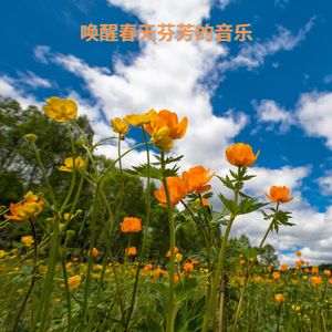 唤醒春天芬芳的音乐