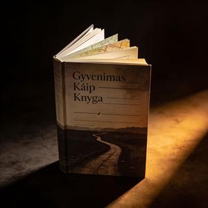 Gyvenimas Kaip Knyga