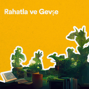 Uyku Sesleri (Lo-Fi Hip Hop)