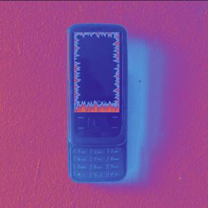 POURQUOI SE RAPPELER ?