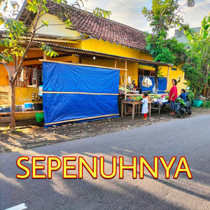 Pergi, Jangan Kembali