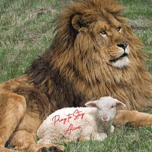 Pray to Stay Alive (Poem)