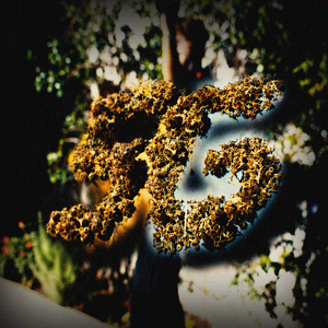 5 Gramos