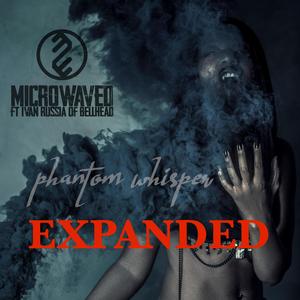 This is a Gun (11Grams Remix)