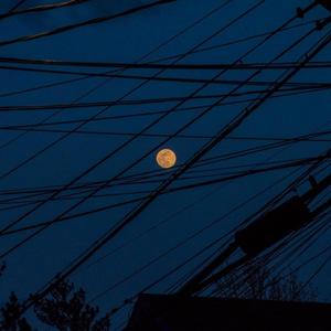 夏日限定（Prod.Eee.T)