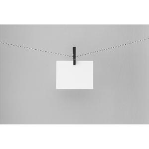 대답은 없었지만