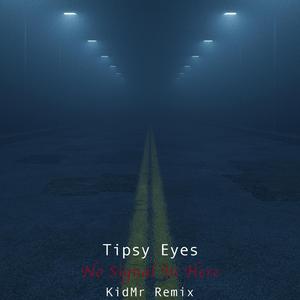 No Signal In Here (Kid Mr Remix Radio Edit)