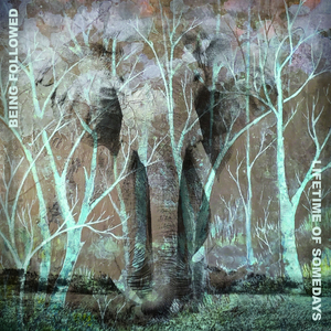 Nighttime in the Fall