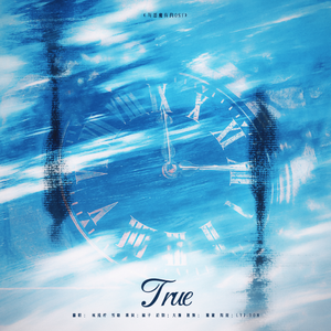 True(Chinese.Ver)