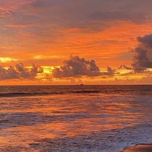 我知道（joker版）