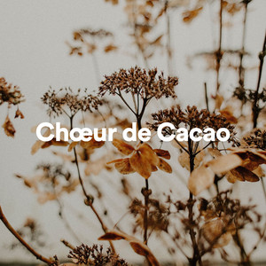 Bruit Brun Bruit Blanc, Pt. 2